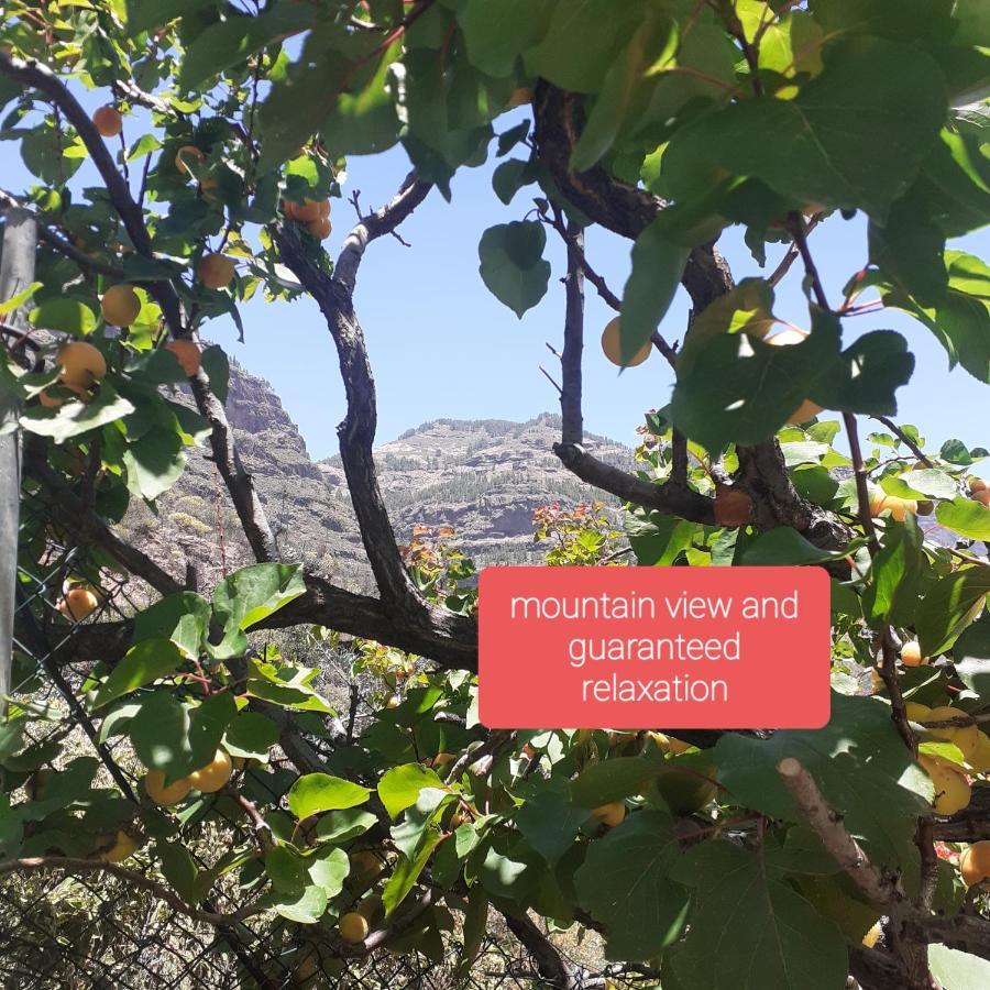 La Finca Del Don Ganapati San Bartolomé 外观 照片