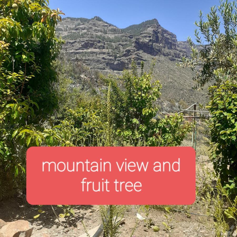 La Finca Del Don Ganapati San Bartolomé 外观 照片