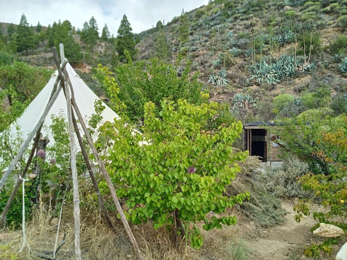 La Finca Del Don Ganapati San Bartolomé 外观 照片