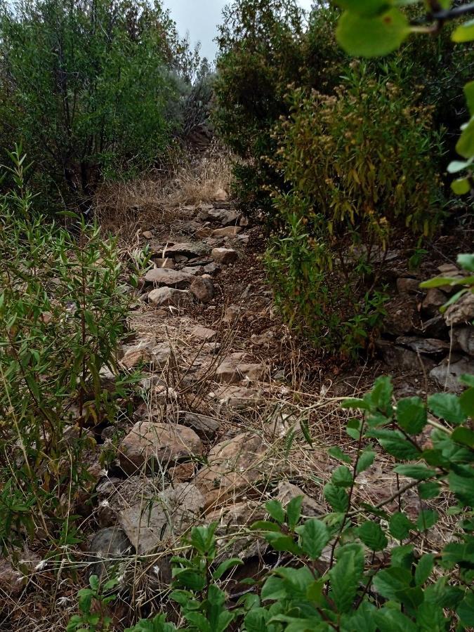 La Finca Del Don Ganapati San Bartolomé 外观 照片