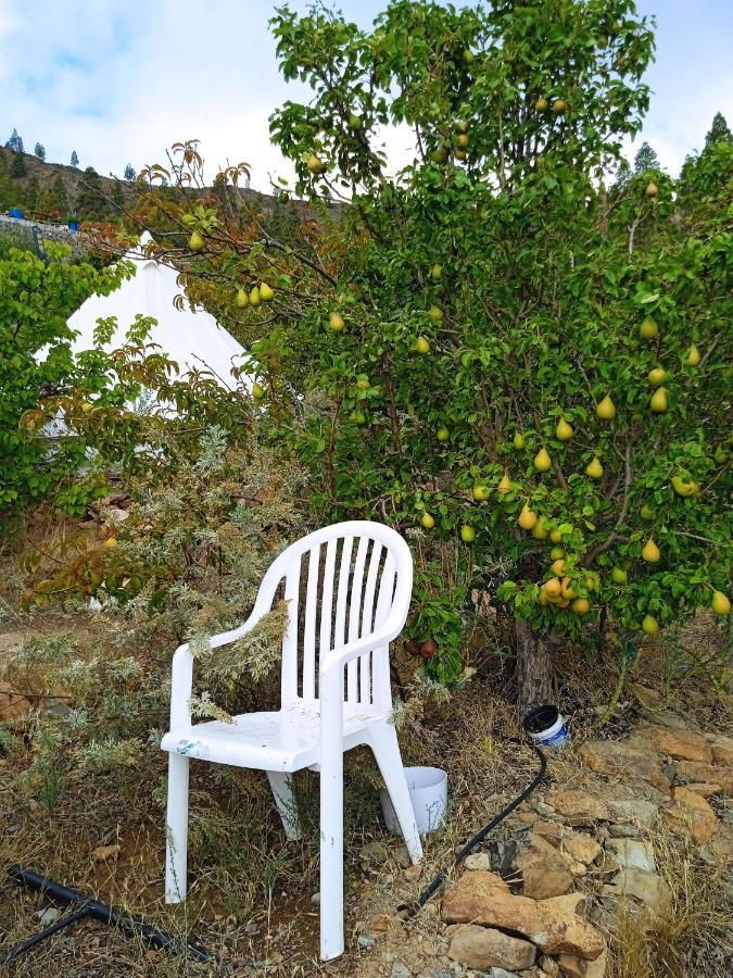 La Finca Del Don Ganapati San Bartolomé 外观 照片